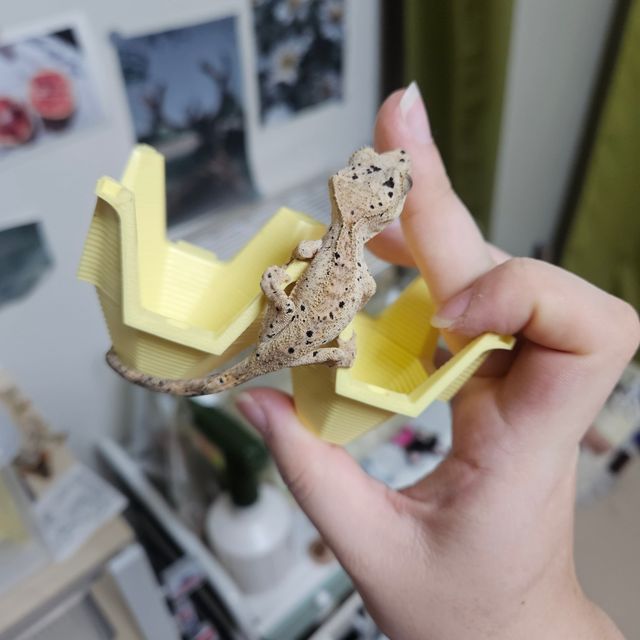 슈퍼달마시안