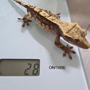 뽀뽀