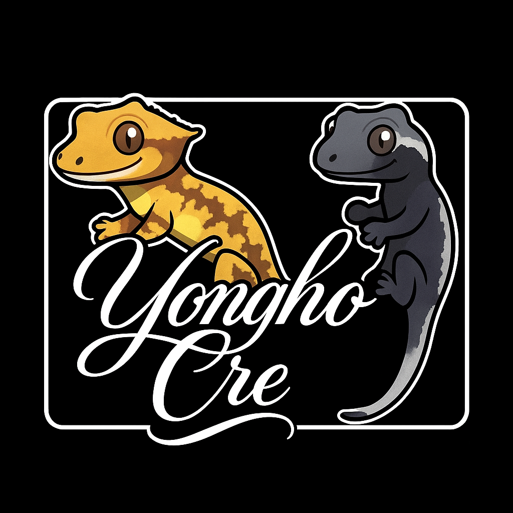 YonghoCre