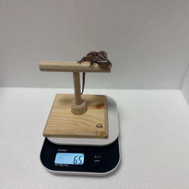 스트라이프