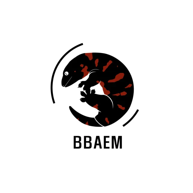 노멀