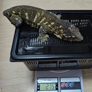 무커