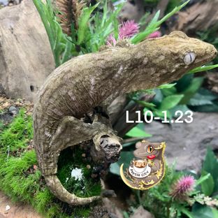 L10-1.23