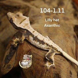 104-1.11