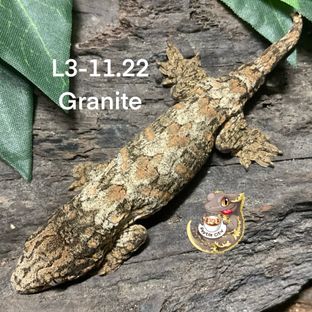 L3-11.22