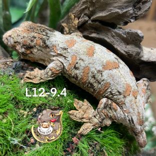 L12-9.4
