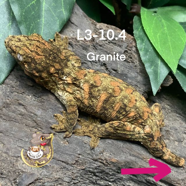 Normal
