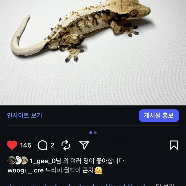트라이 익스트림할리퀸