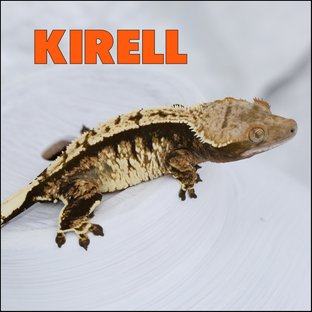 키렐