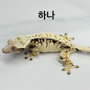 하나