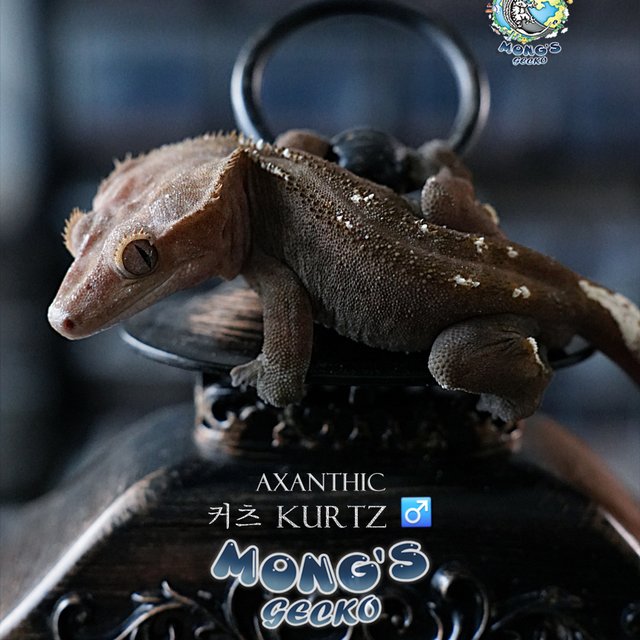 아잔틱