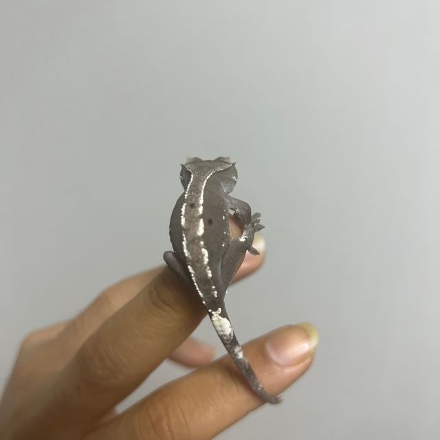 아잔틱