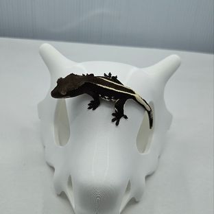 아잔틱