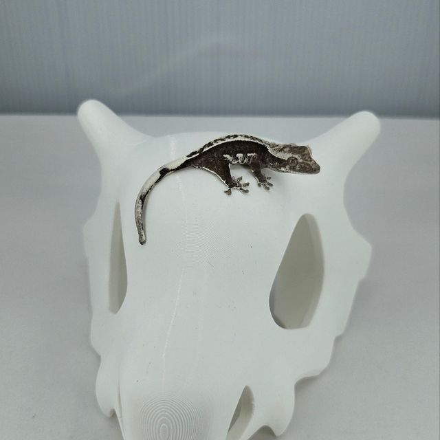 아잔틱