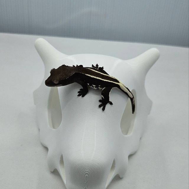 아잔틱