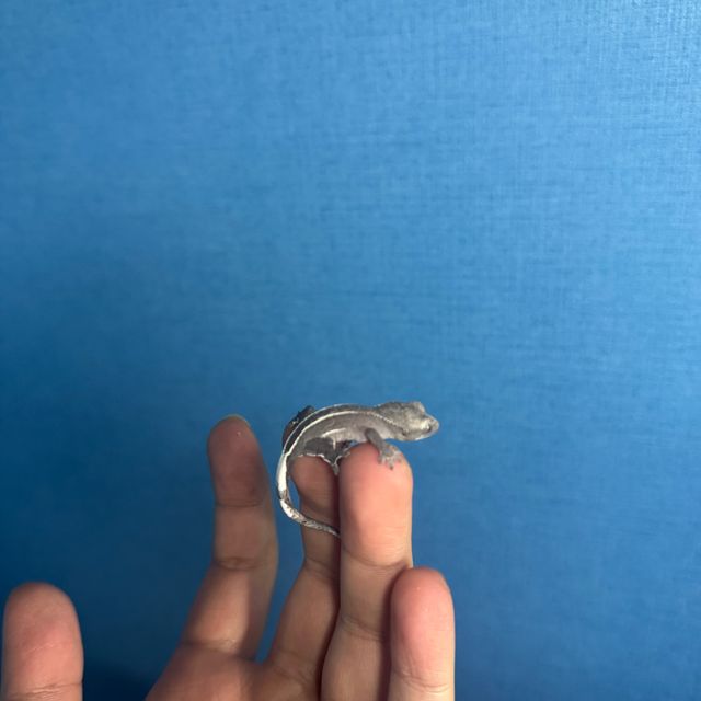 아잔틱