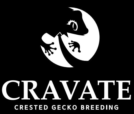 CRAVATE