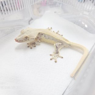 서울이