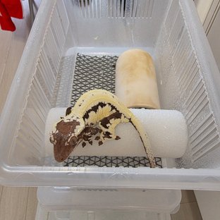 프라푸치노