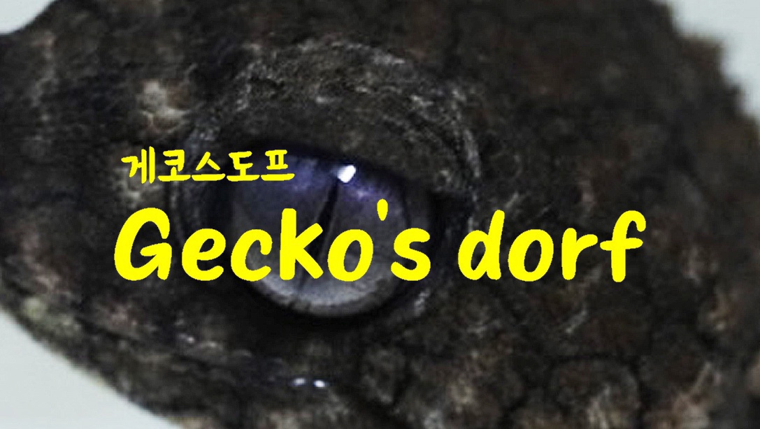 게코스도프