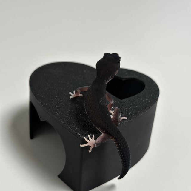 블랙나이트 스노우 이클립스