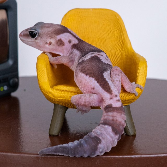 오레오 줄루 헷 카라멜