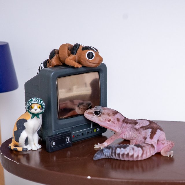 오레오 줄루 헷 카라멜