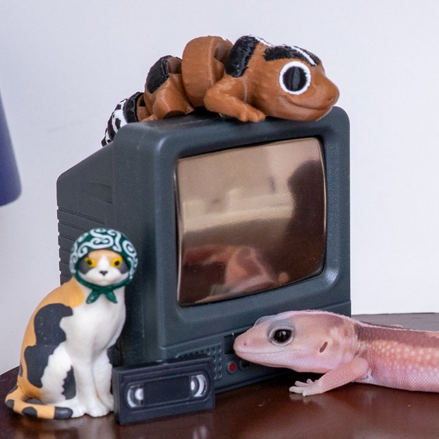 카라멜 줄루 헷 아멜라니스틱 헷 오레오