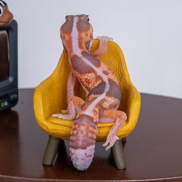 화이트아웃 아멜라니스틱 헷 줄루 헷 카라멜