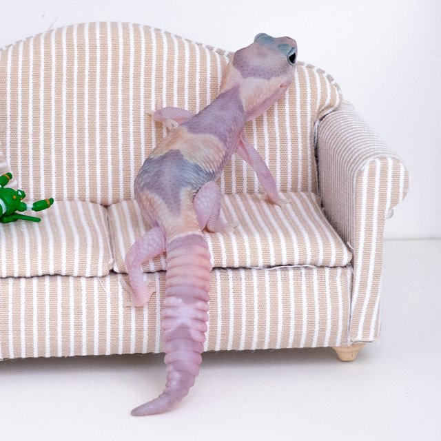 고스트 헷 오레오 헷 패턴리스