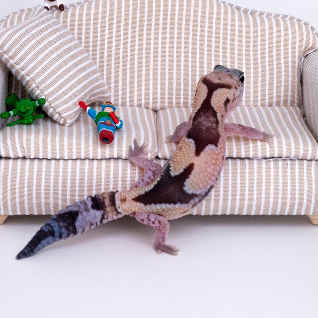 줄루 헷 카라멜 헷 오레오 헷 고스트