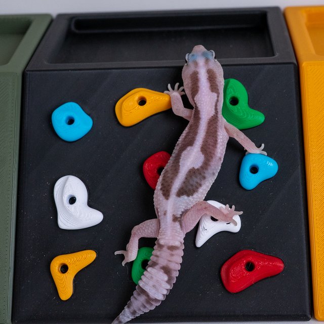 오레오 줄루 헷 고스트