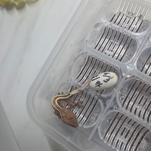카푸치노 엠티백