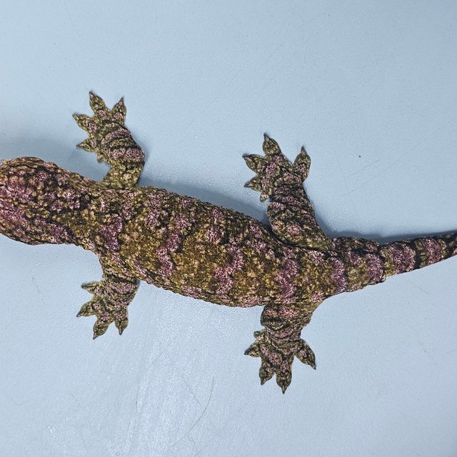 트루 컬러 하이 컬러