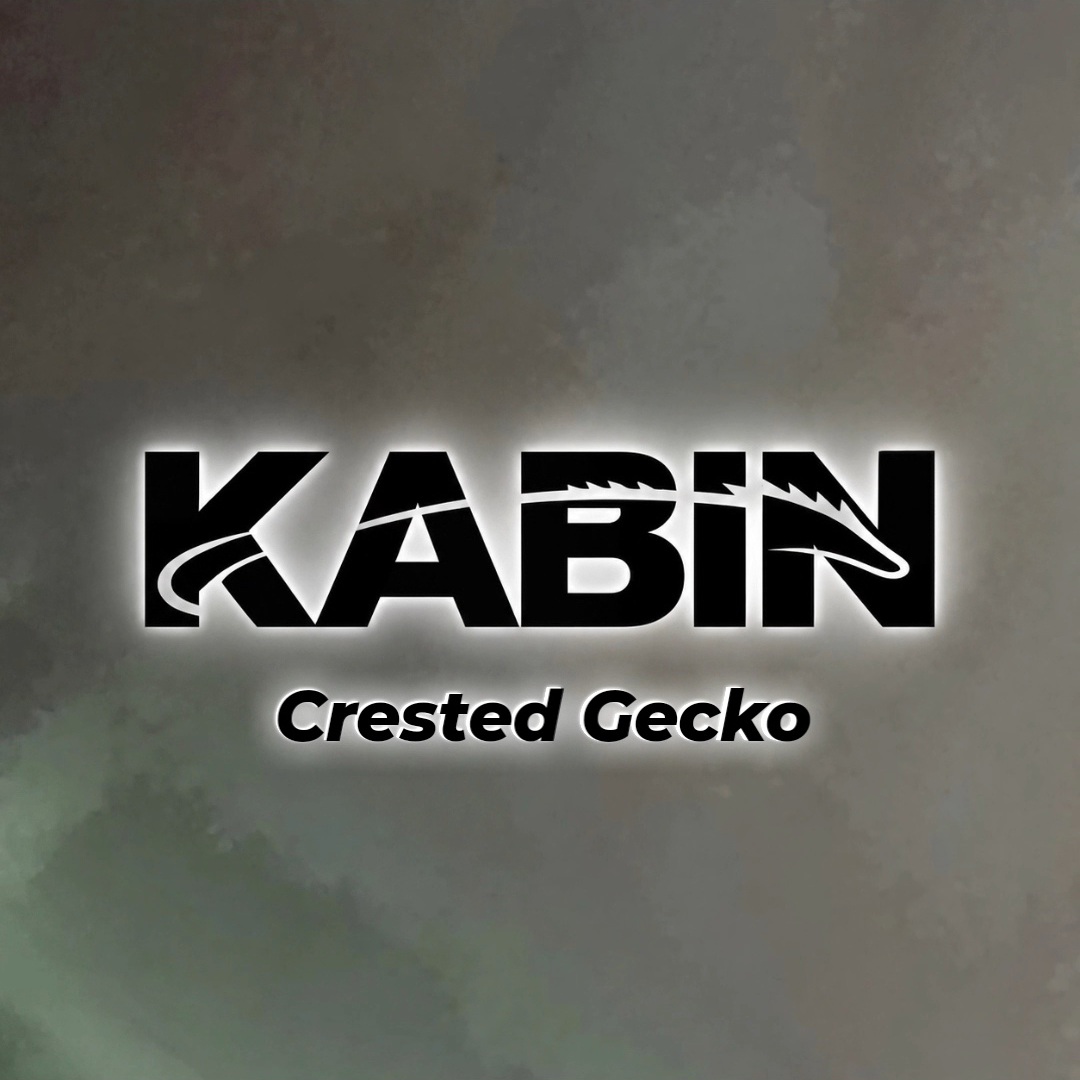 KABIN카빈