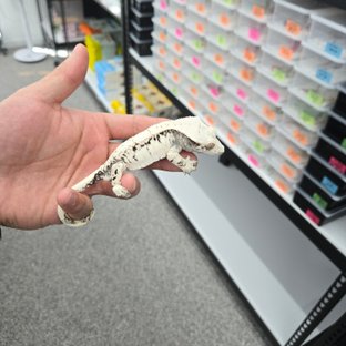 노멀 드리피 화이트스팟