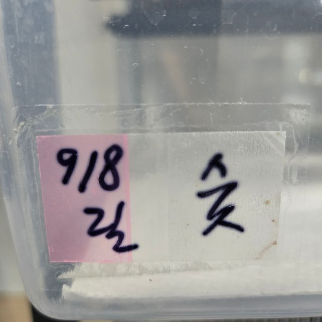 릴리화이트