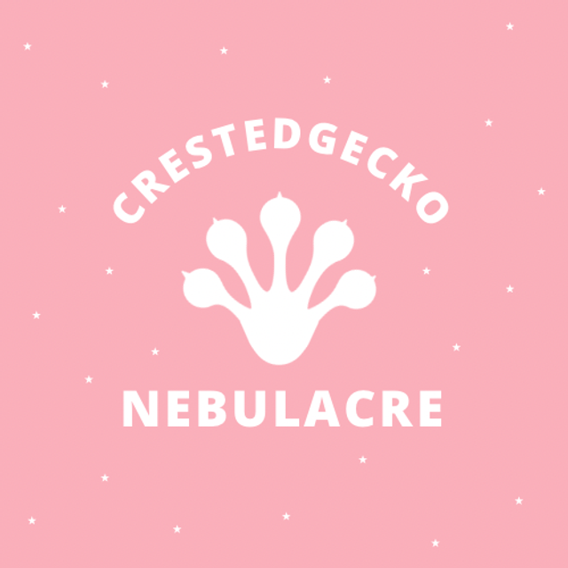 드리피 화이트스팟