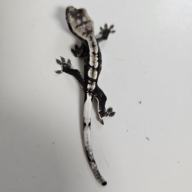 아잔틱