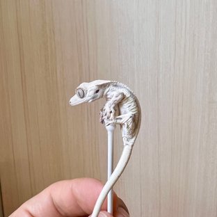 릴리화이트 솔리드백 화이트핀 화이트