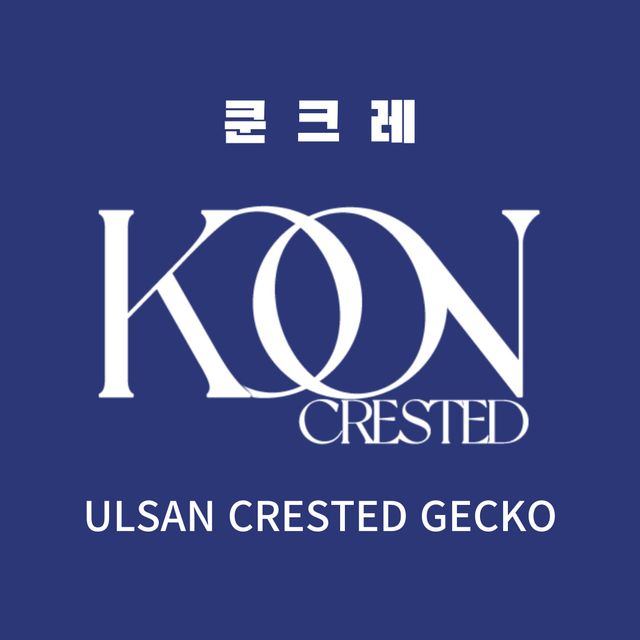 노멀 트라이 익스트림할리퀸