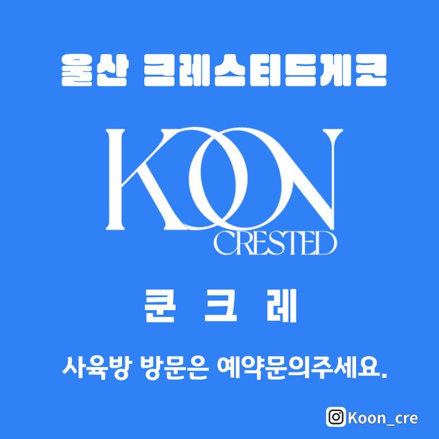 트라이 릴리화이트