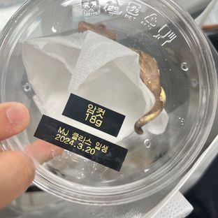 세이블 입생