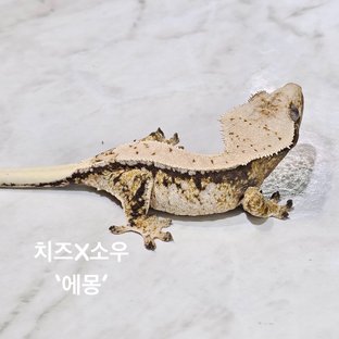 에몽