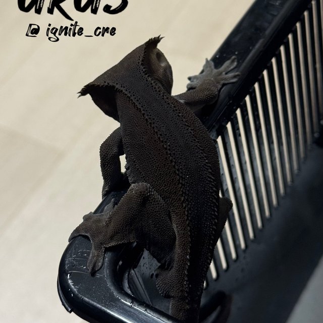 슈퍼스트라이프 챠콜