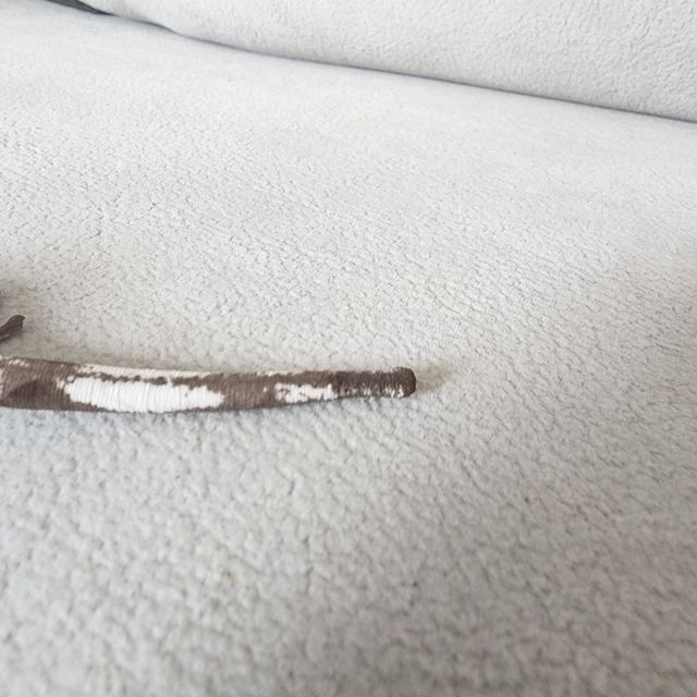 아잔틱