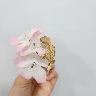 트라이 드리피