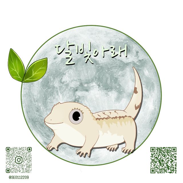 릴리화이트