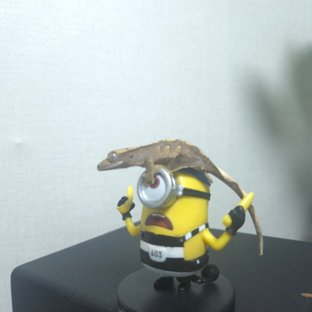 100%헷아잔틱