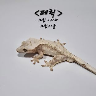 페릭